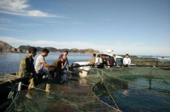 长岛渔家乐网,体验海岛风情，畅游渔家生活